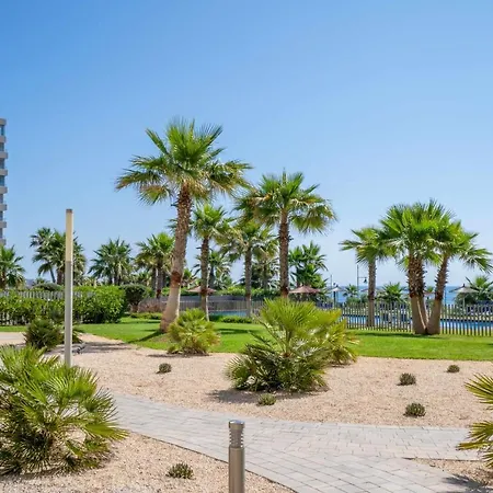 Lujoso De 3 Apartament Torrevieja